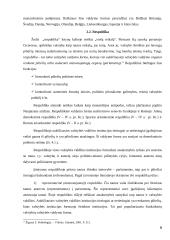 Valstybės formos samprata ir jų įvairovė 9 puslapis