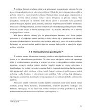 Valstybės tarnautojų etikos problemos 11 puslapis