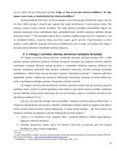 Valstybės tarnautojų etikos problemos 19 puslapis