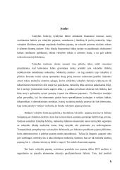 Valstybinė mokesčių politika 2 puslapis