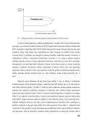 Valstybinė mokesčių politika 15 puslapis