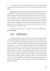 Valstybinė mokesčių politika 17 puslapis