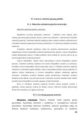 Valstybinė mokesčių politika 18 puslapis