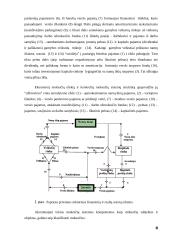 Valstybinė mokesčių politika 8 puslapis