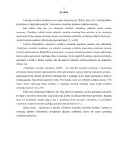 VSD biudžeto sudarymas ir vykdymas 2 puslapis