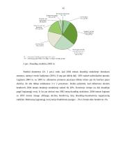 VSD biudžeto sudarymas ir vykdymas 12 puslapis