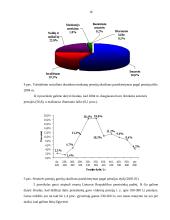 VSD biudžeto sudarymas ir vykdymas 16 puslapis