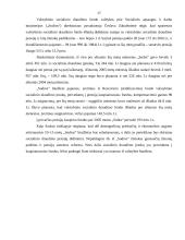VSD biudžeto sudarymas ir vykdymas 17 puslapis