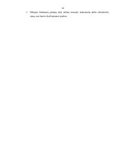 VSD biudžeto sudarymas ir vykdymas 19 puslapis