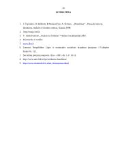 VSD biudžeto sudarymas ir vykdymas 20 puslapis