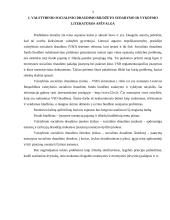 VSD biudžeto sudarymas ir vykdymas 3 puslapis