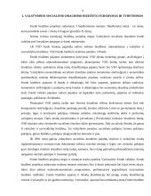 VSD biudžeto sudarymas ir vykdymas 4 puslapis