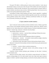 VSD biudžeto sudarymas ir vykdymas 7 puslapis