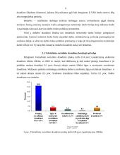 VSD biudžeto sudarymas ir vykdymas 9 puslapis