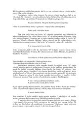 V. Mačernis "Pirmoji vizija" 3 puslapis