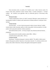 Veiklos finansine analizė: AB "Anykščių vynas" 2 puslapis