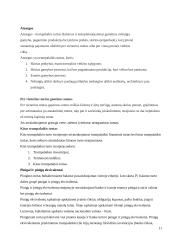 Veiklos finansine analizė: AB "Anykščių vynas" 11 puslapis