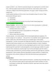 Veiklos finansine analizė: AB "Anykščių vynas" 12 puslapis