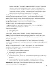 Veiklos finansine analizė: AB "Anykščių vynas" 14 puslapis