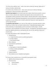 Veiklos finansine analizė: AB "Anykščių vynas" 15 puslapis