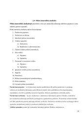 Veiklos finansine analizė: AB "Anykščių vynas" 20 puslapis