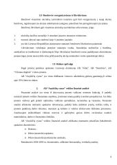 Veiklos finansine analizė: AB "Anykščių vynas" 9 puslapis