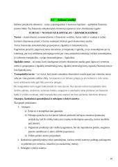 Veiklos finansine analizė: AB "Anykščių vynas" 10 puslapis