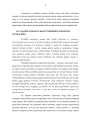 Veiklos sąnaudų apskaita: UAB "Spynų pasaulis" 8 puslapis