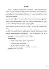 Verslo aplinkos ypatumai Vengrijoje 2 puslapis