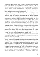 Verslo aplinkos ypatumai Vengrijoje 11 puslapis