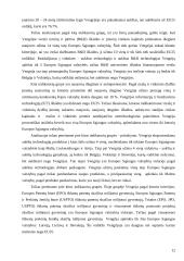 Verslo aplinkos ypatumai Vengrijoje 12 puslapis