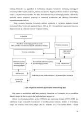 Verslo aplinkos ypatumai Vengrijoje 18 puslapis