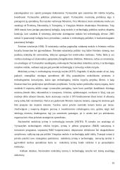 Verslo aplinkos ypatumai Vengrijoje 19 puslapis