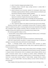 Verslo aplinkos ypatumai Vengrijoje 20 puslapis