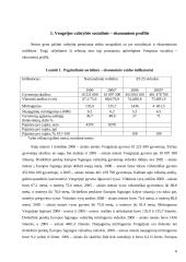 Verslo aplinkos ypatumai Vengrijoje 6 puslapis