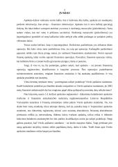 Verslo apskaitos standartų apžvalga 2 puslapis