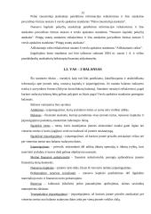 Verslo apskaitos standartų apžvalga 12 puslapis