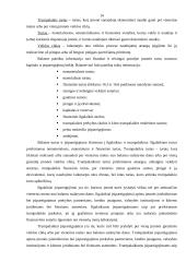 Verslo apskaitos standartų apžvalga 13 puslapis