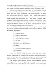 Verslo apskaitos standartų apžvalga 17 puslapis