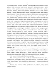 Verslo apskaitos standartų apžvalga 18 puslapis