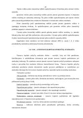 Verslo apskaitos standartų apžvalga 19 puslapis