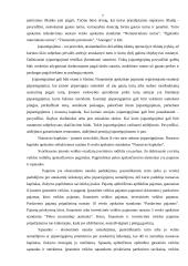 Verslo apskaitos standartų apžvalga 6 puslapis