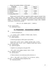 Verslo ekonomika: trauktinių gamyklėlės projektavimas 19 puslapis