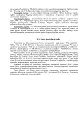 Dirvožemio biologija 11 puslapis