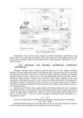 Dirvožemio biologija 12 puslapis