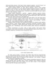 Dirvožemio biologija 14 puslapis
