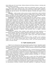 Dirvožemio biologija 7 puslapis