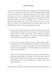 Verslo etika tarptautiniame verslo vystyme 2 puslapis