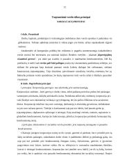 Verslo etika tarptautiniame verslo vystyme 12 puslapis