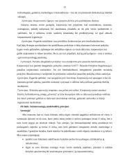 Verslo etika tarptautiniame verslo vystyme 13 puslapis